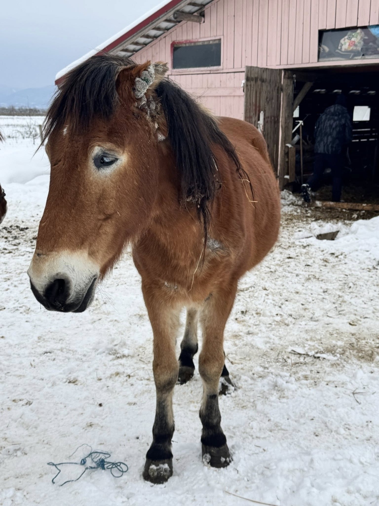 Caesar